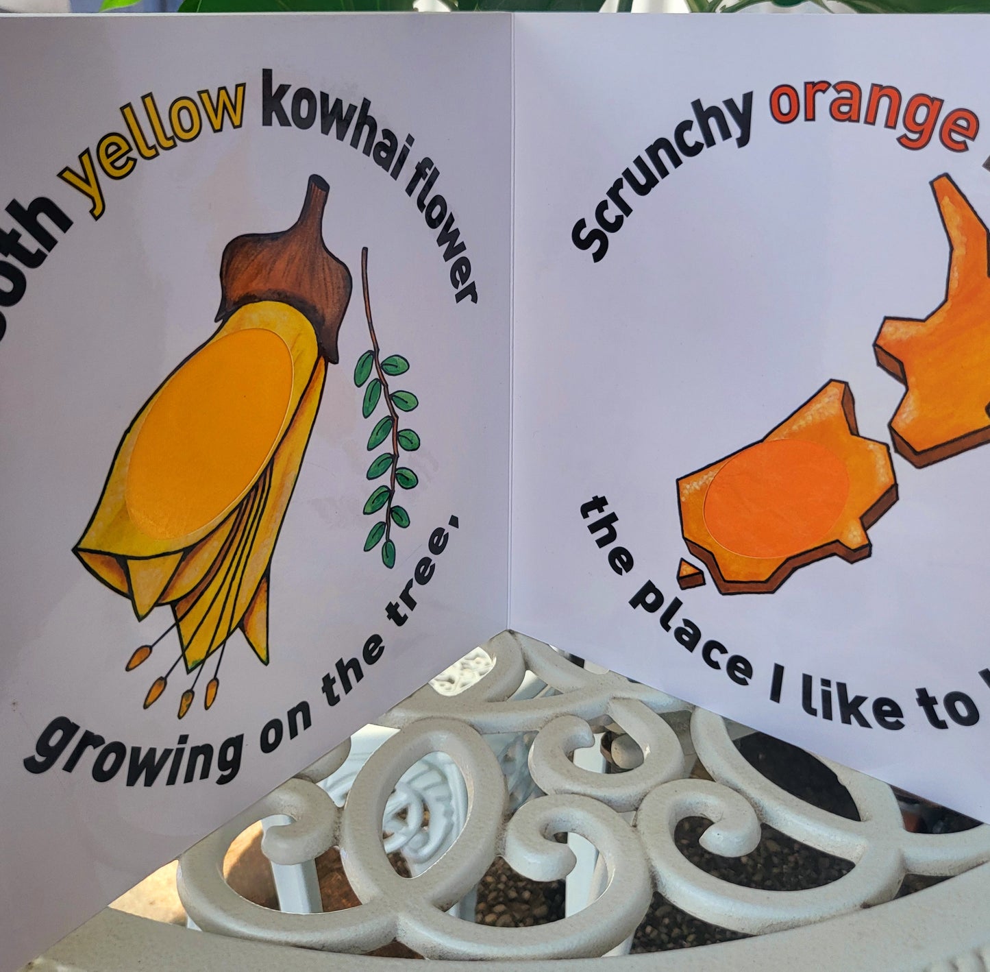 How NZ Feels Book