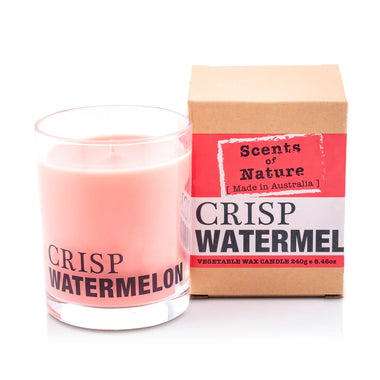 SON Crisp Watermelon Soy Candle 240g
