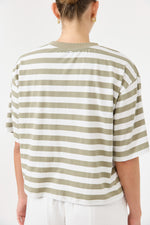 Studio Stripe T-shirt - Olive