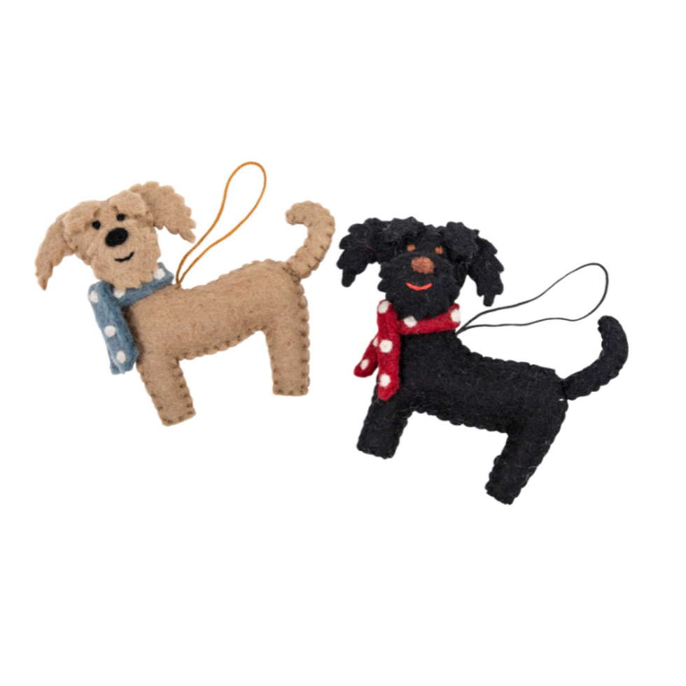 Pashom Gold Labradoodle with scarf decoration
