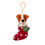 Pashom Jack Russell in Stocking hanging decoration