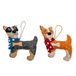 Pashom Blue cattle dog with scarf decoration