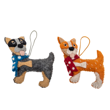 Pashom Blue cattle dog with scarf decoration