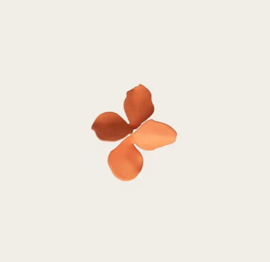 Cassia Earrings – Melon