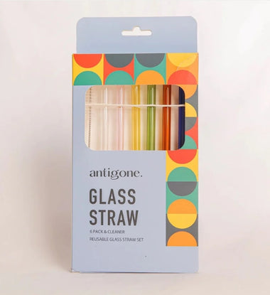 Reusable Glass Straws Set of 6 - Straight Multi