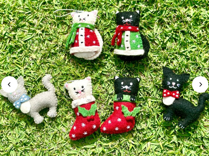 Pashom Christmas Cats with bows decoration