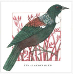Birds of the Doubtful Valley - Tūī Card
