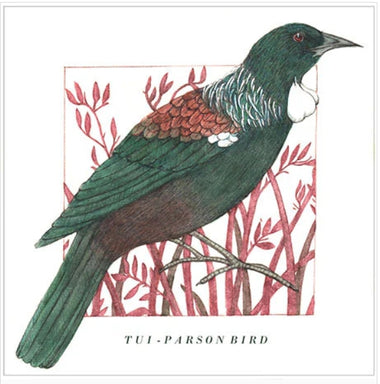 Birds of the Doubtful Valley - Tūī Card