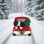 Pashom Collie and Christmas tree in truck decoration