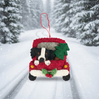 Pashom Collie and Christmas tree in truck decoration