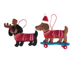 Pashom Rudolf Dashhound